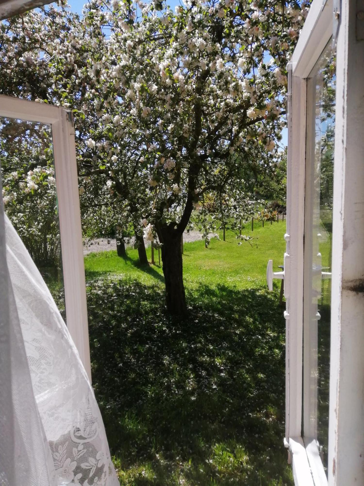 Searooms Lapmežciems Quarto foto